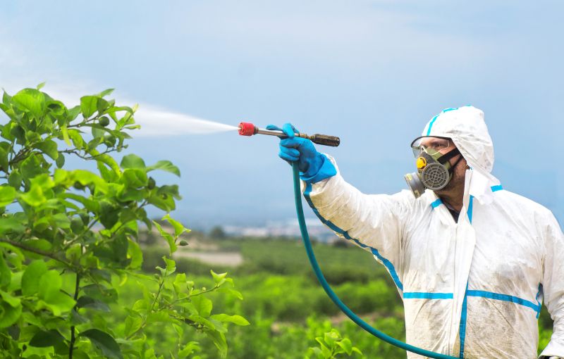 Commercial Fumigation in Santa Fe, NM