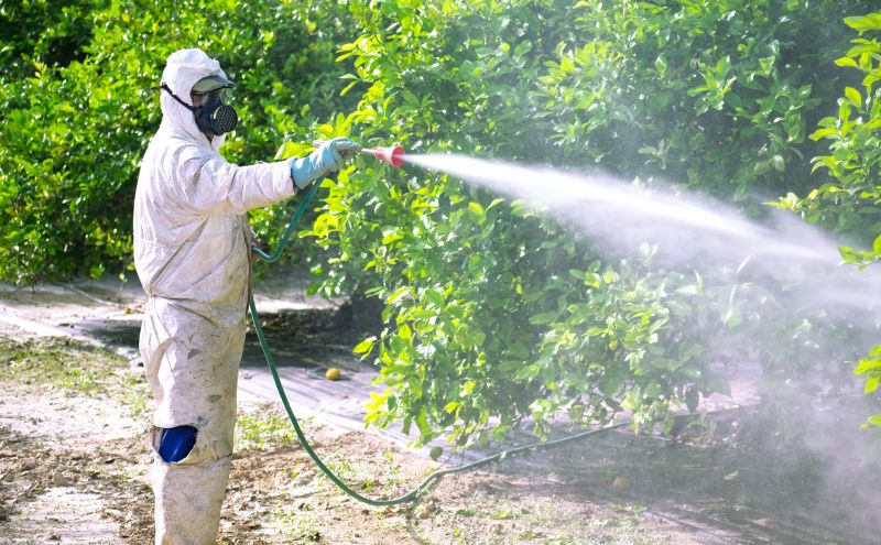 Pest Fumigation Service in Fayetteville, NC