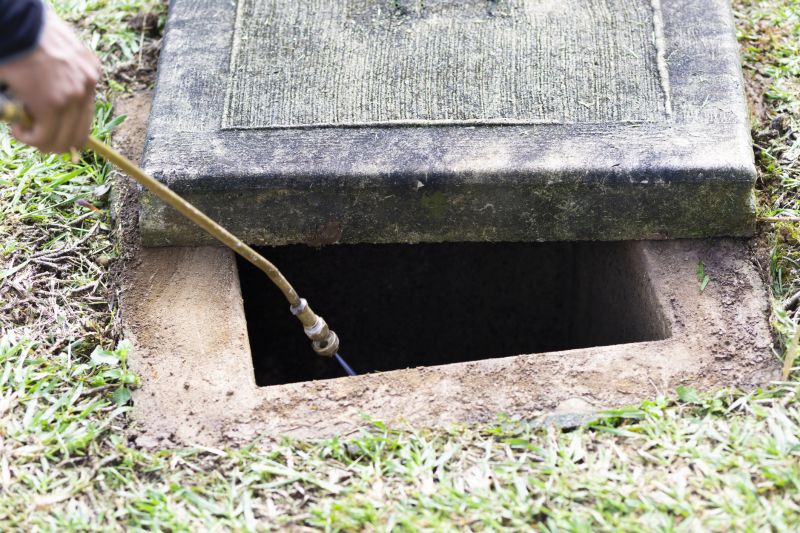 Rat Fumigation Service in Winston Salem, NC