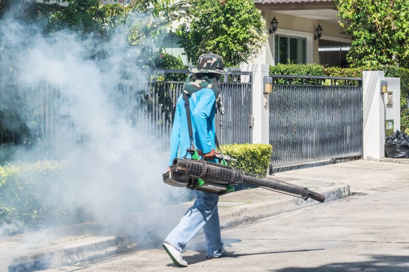 Spider Fumigation Service in Wilmington, DE