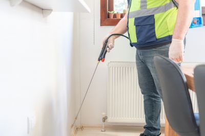 Wasp Control Cost Guide — Cost of Wasp Control
