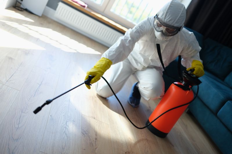 Why Professional Stinging Insect Pest Control Is Safer Than Diy Removal